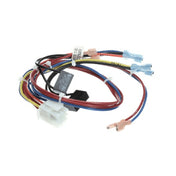 Frymaster 300982 Wire Harness Util.conn.