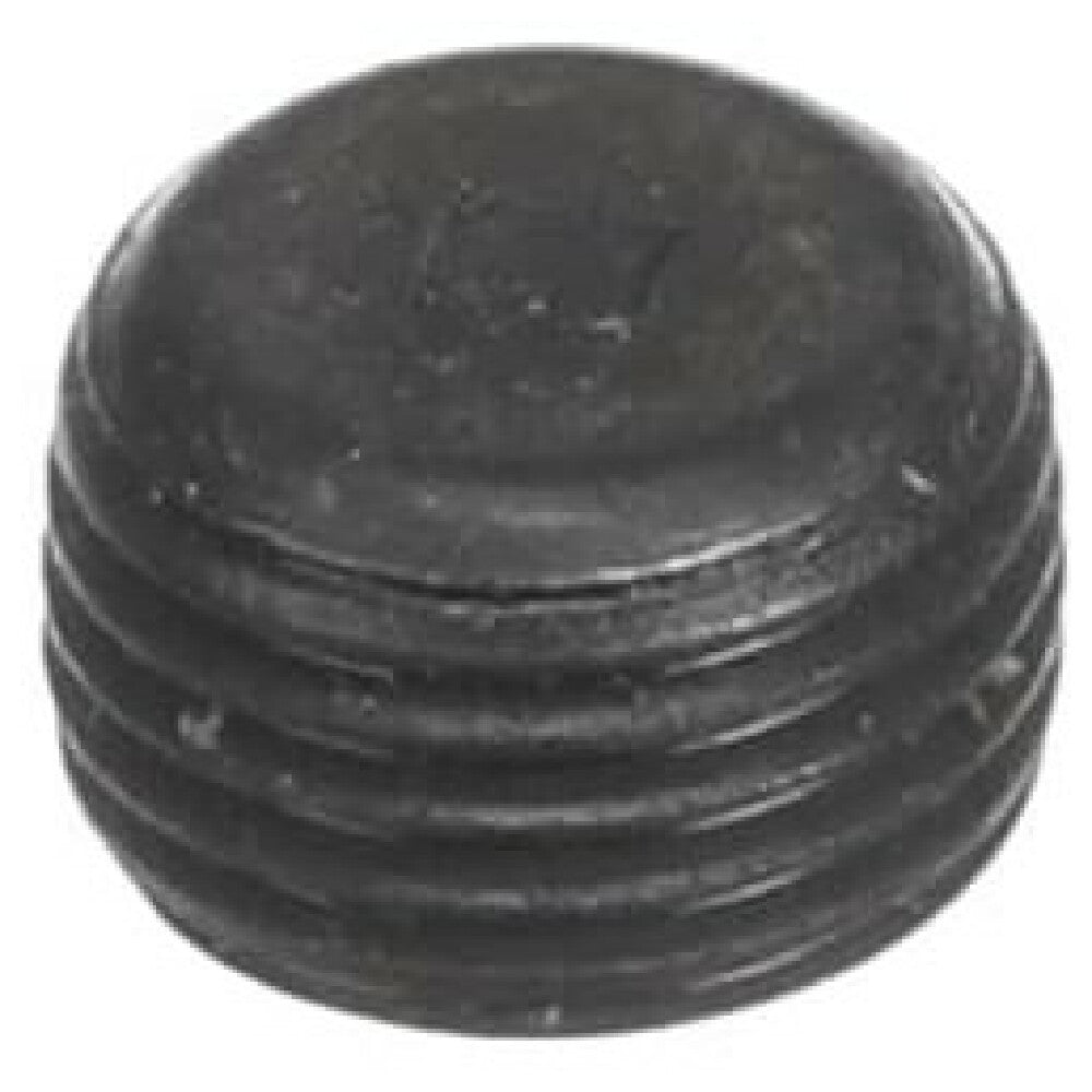 Frymaster 8130989 Plug 1/8"npt Socket Head .250