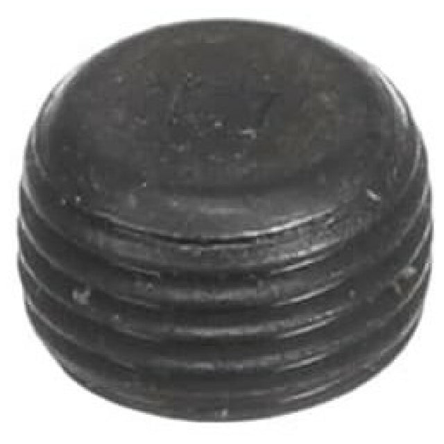 Frymaster 8130989 Plug 1/8"npt Socket Head .250