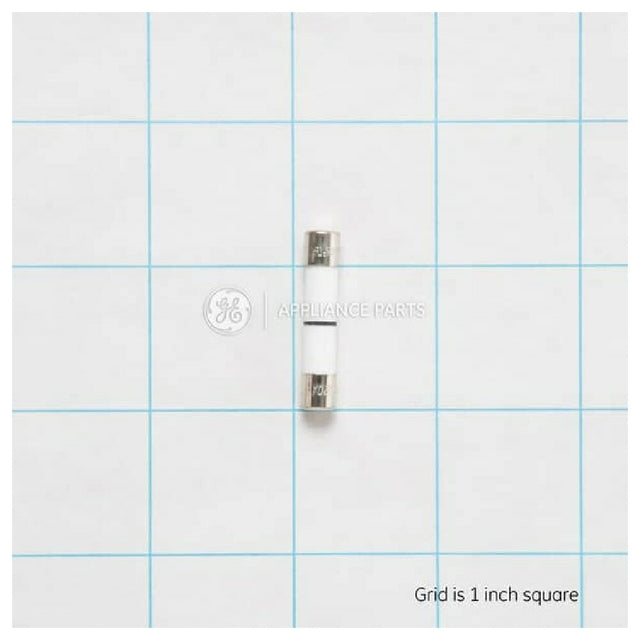 General Electric WB27X10928 Fuse