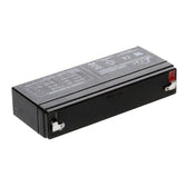 Globe E133100 Storage Battery