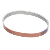 Globe MCA51 Belt(c9)