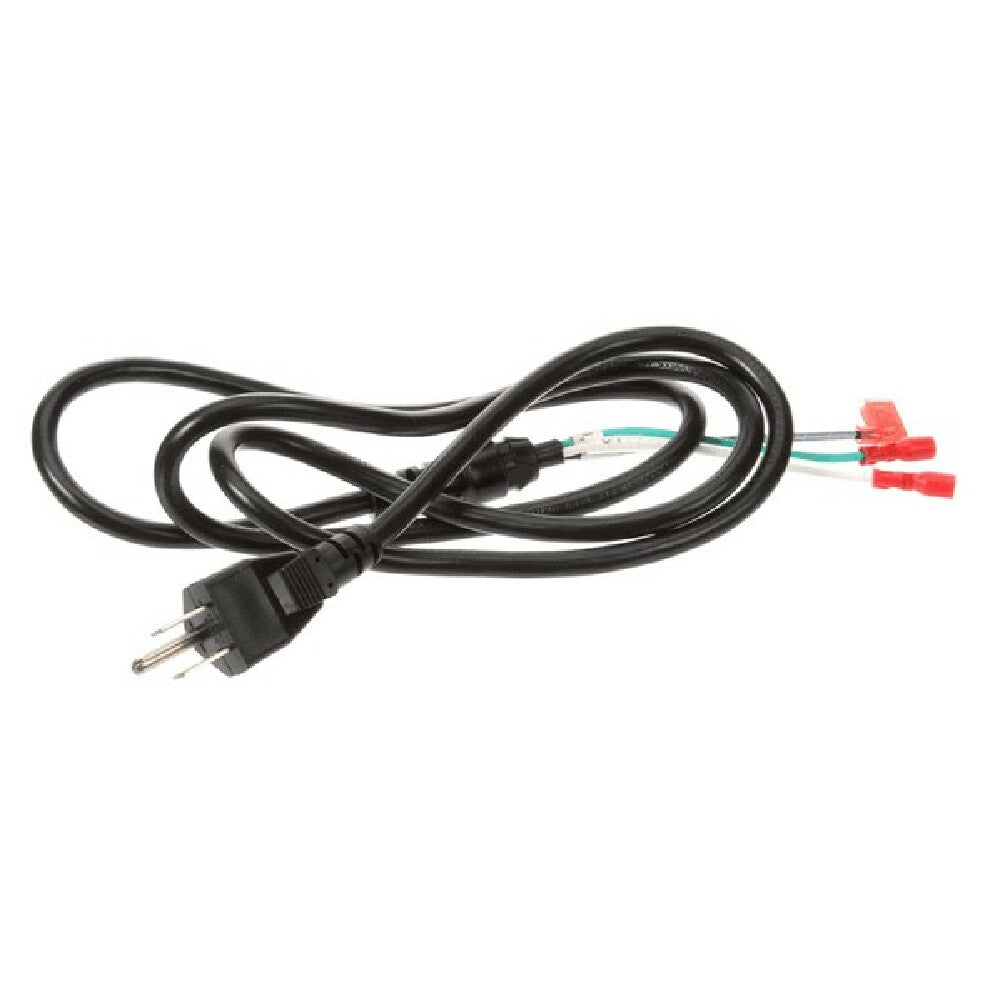 Globe X5B23 Power Cord And Plug
