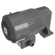 Globe X80H56 Motor Bowl Raise 1/8 Hp