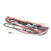 Grindmaster A71971 Wire Harness