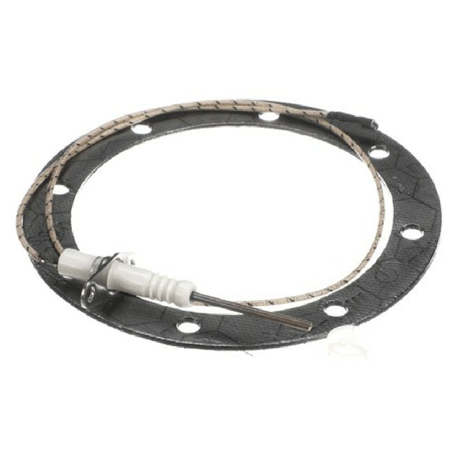 Henny Penny MM201177 Flame Sensor