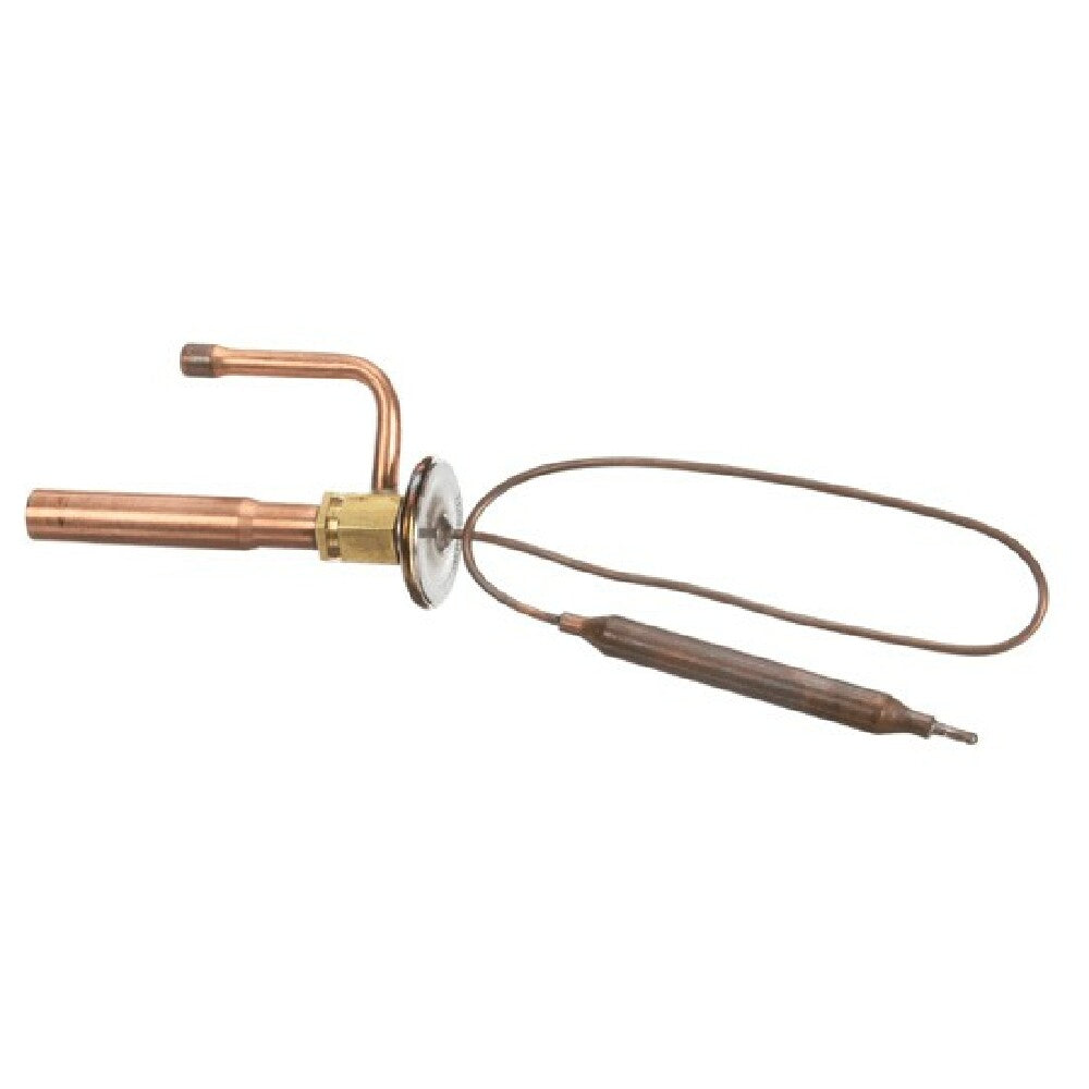 AllPoints 8081242 Expansion Valve Fuji