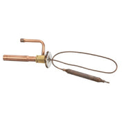AllPoints 8081242 Expansion Valve Fuji
