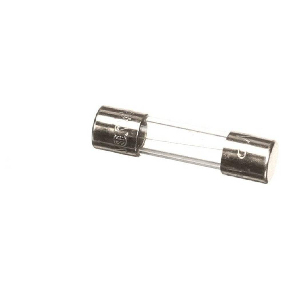 Hoshizaki P04203-01 P0420301 Fuse