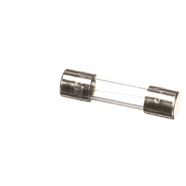 Hoshizaki P04203-01 P0420301 Fuse
