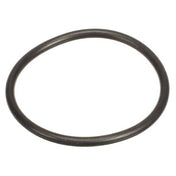 Insinger 4010-01539 O Ring Drain Valve Body Seat(