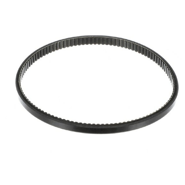 AllPoints 8086735 Lower Feed Belt