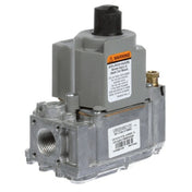 Legion 404008 Control Valve Ng
