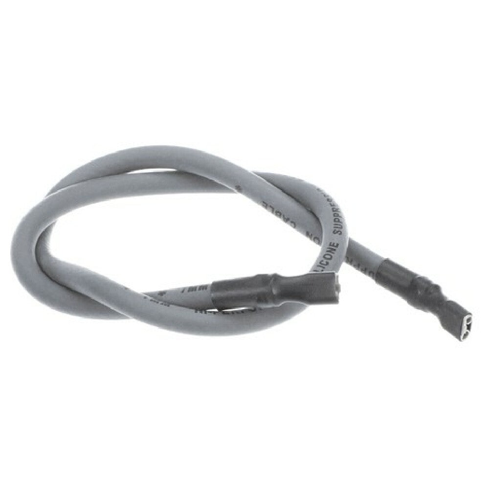 AllPoints 8088312 Cable Ign