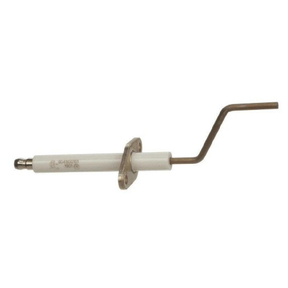 AllPoints 8088576 K Sensor Flame W/gasket