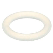 Ugolini USA A17001A O Ring Esp/cs A17001a
