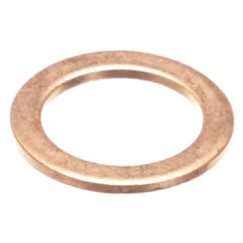 Ugolini USA A180005-00 Valve Gasket Brass Esp 220v Sp