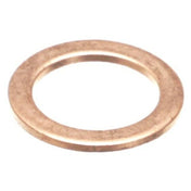 Ugolini USA A180005-00 Valve Gasket Brass Esp 220v Sp