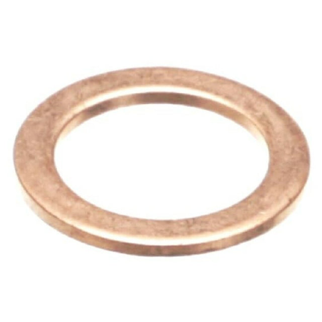 Ugolini USA A180005-00 Valve Gasket Brass Esp 220v Sp