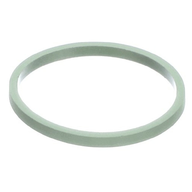 Multiplex 3239817 Seal Filter Strainer