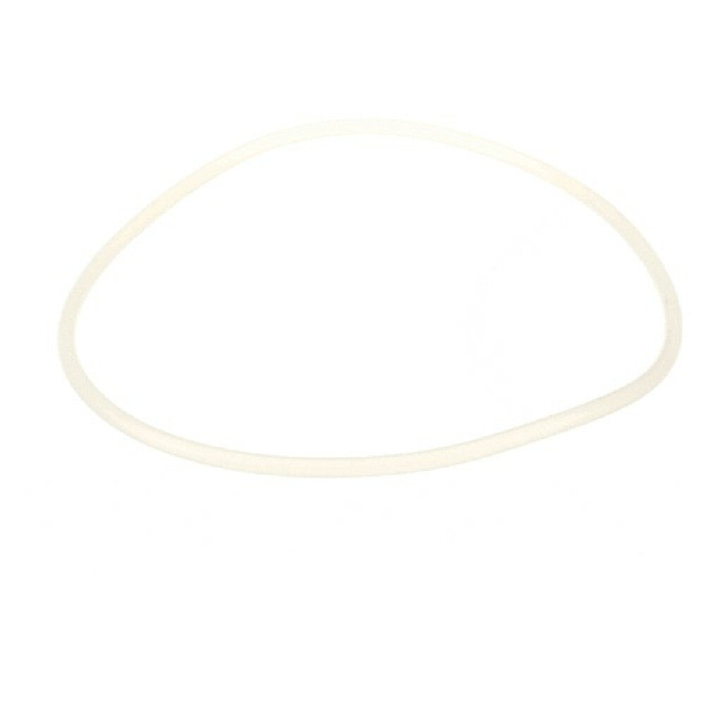 AllPoints 8095979 H15/h20 Transparent Piston O Rings