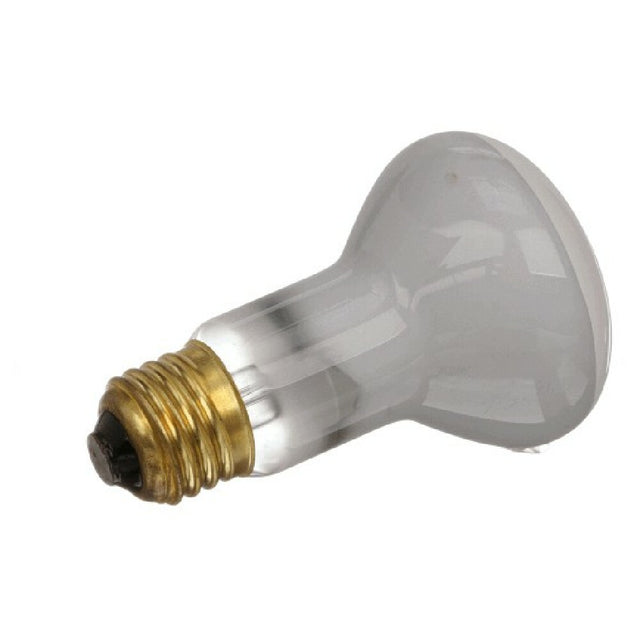 AllPoints 8096207 Light Bulb