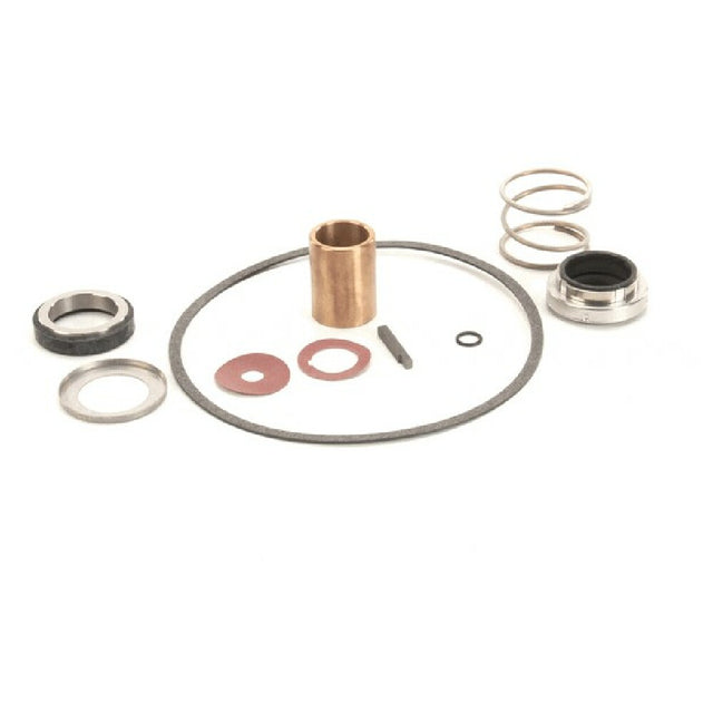 Power Soak Systems 22462 Pump Seal Kit Burks ( I )
