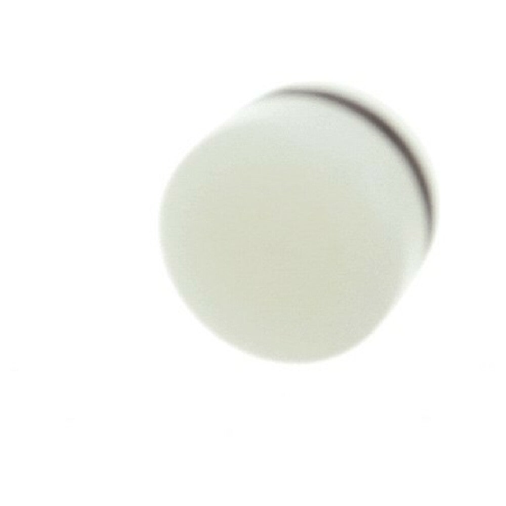 RAM 290160 Plug Assembly