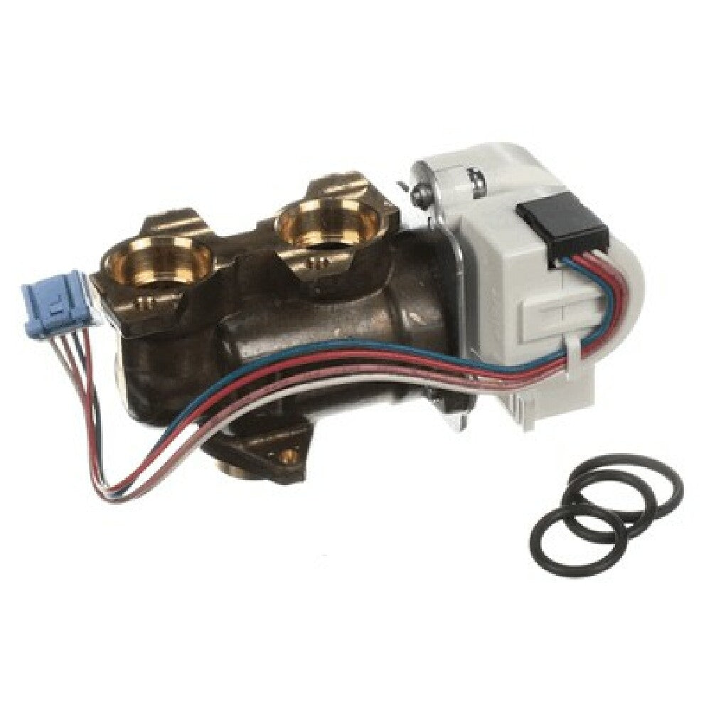 Rinnai 107000270 Bypass Servo Assy.