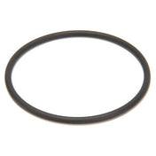 Saniserv 541098 Oring Outlet Mix Door