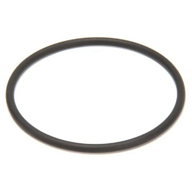 Saniserv 541098 Oring Outlet Mix Door