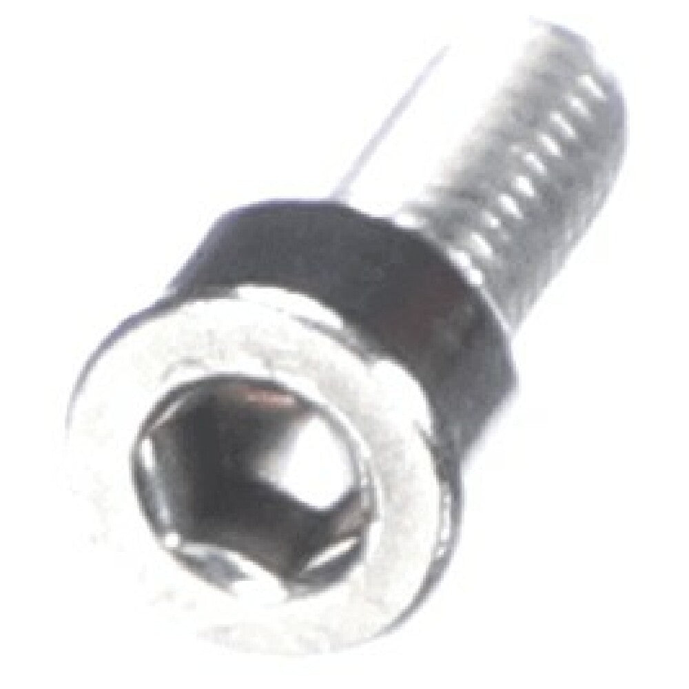 Schaerer 3371001017 Hex Socket Cap Scr. M4x10 Inox