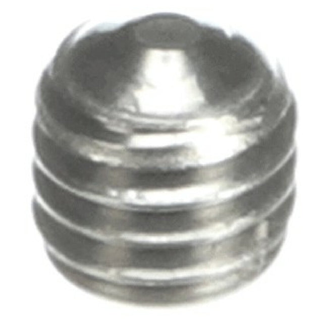 Schaerer 3371009047 Hex Socket Threaded Pin M6x6 P Inox