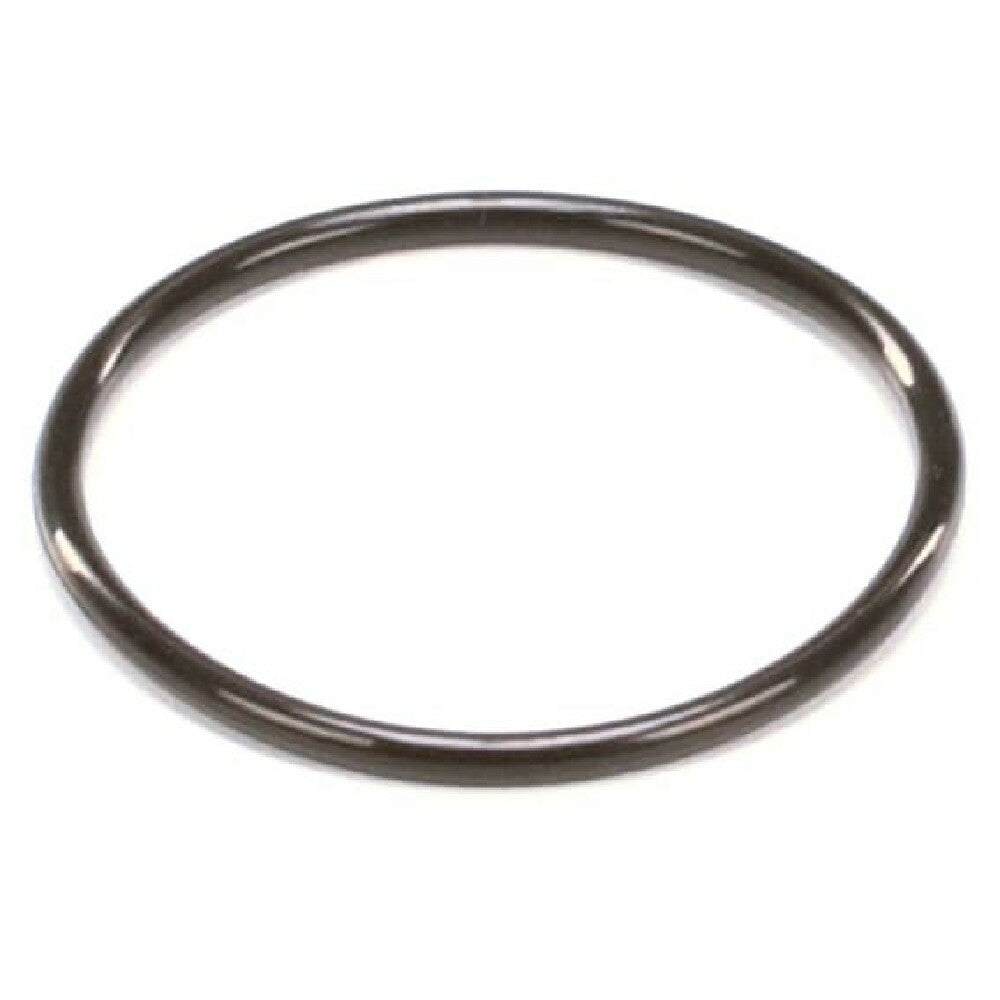 Selecto Scientific 300-735 Filter O Ring Small Black