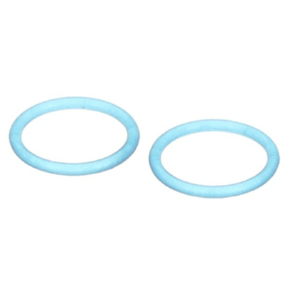 Spaceman 3.4.08.01.040.P2 Pump Injection O Ring (2 Pack)