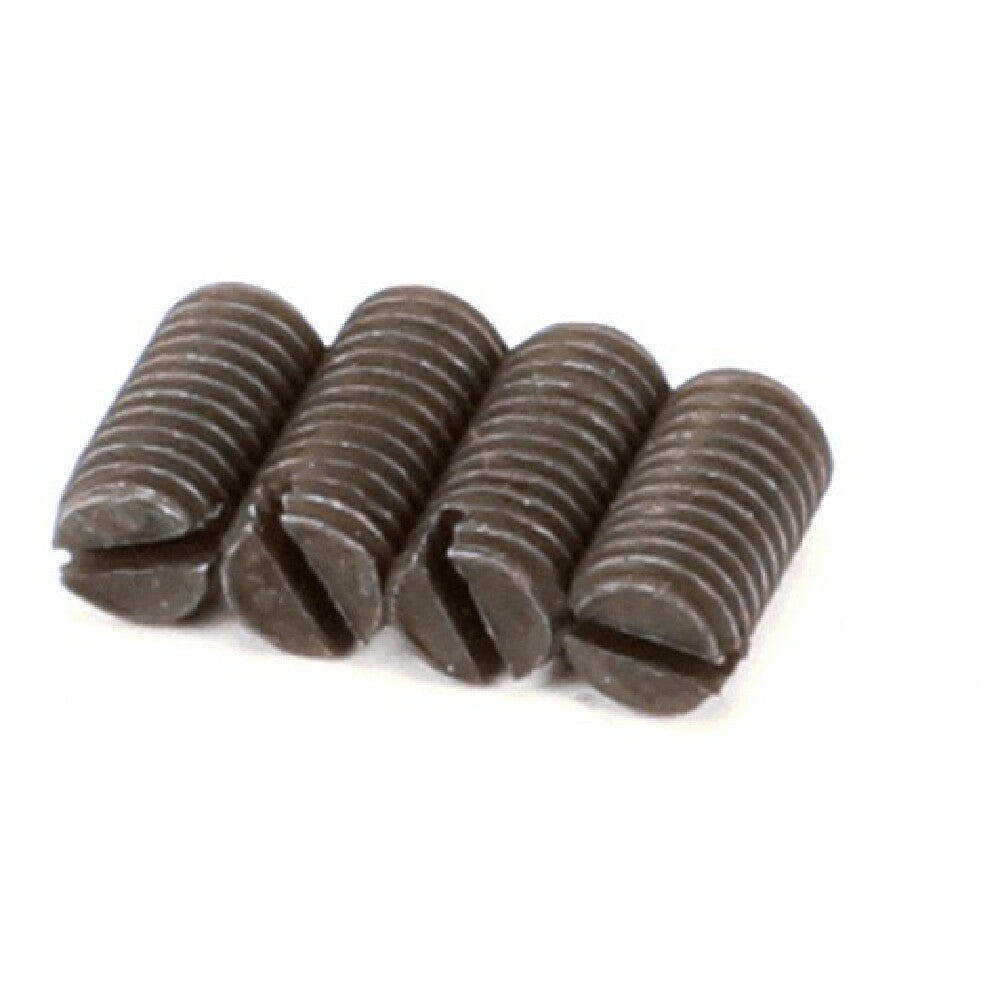 Spaceman 3.6.31.003.P4 Gear Reducer Coupling Screws