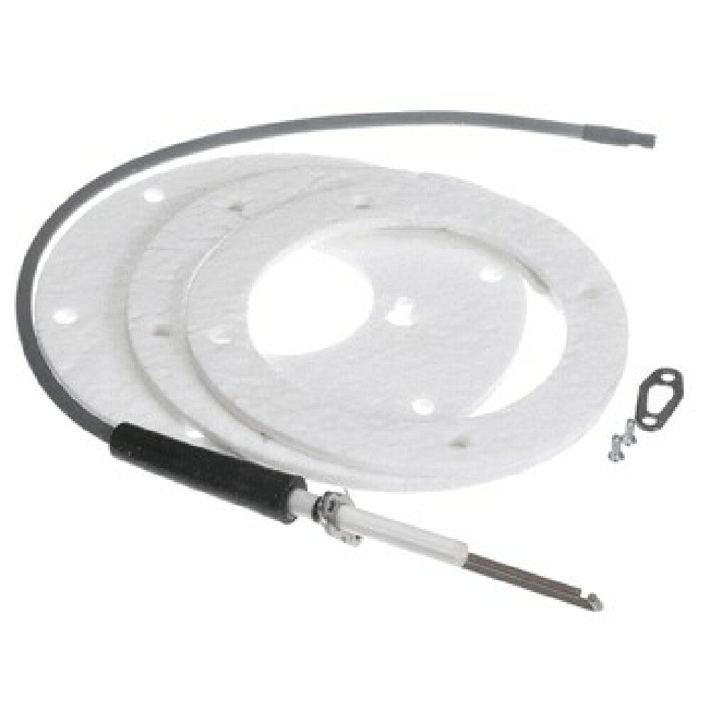 AllPoints 8106045 Spark Igniter Assembly