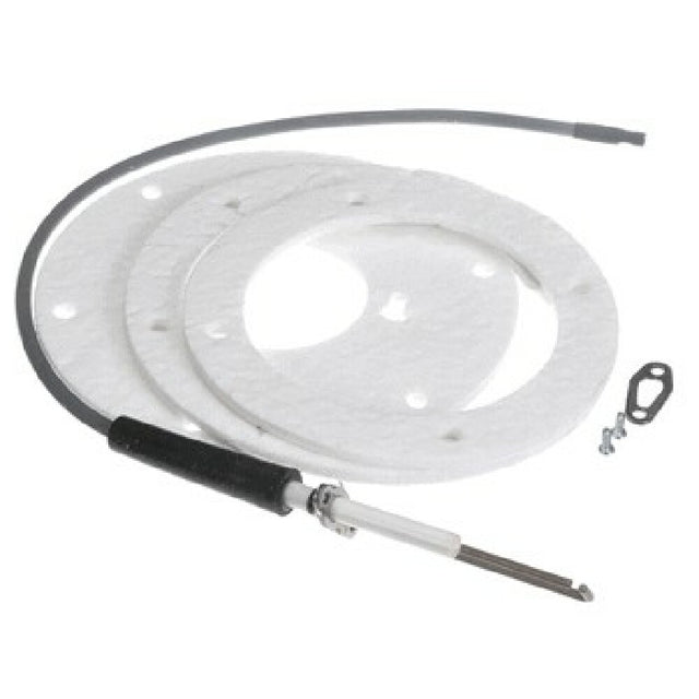 AllPoints 8106045 Spark Igniter Assembly