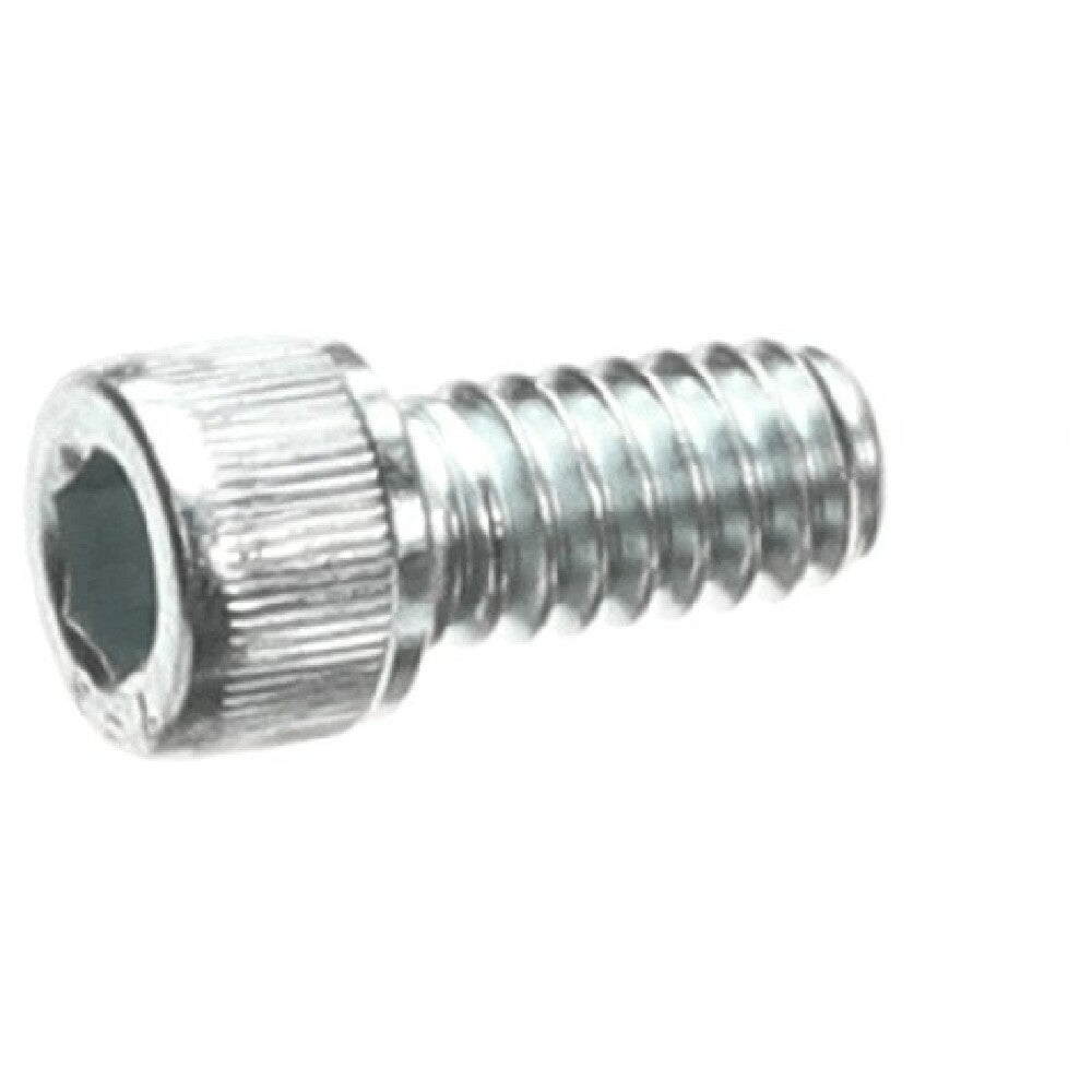 Stoelting 644094 E Screw Cap 1/4 20 X 1/2 Soc H