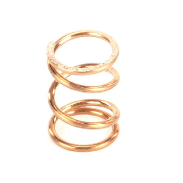 T&S Brass 001625-45 Sprng B 575 O Rng Barng