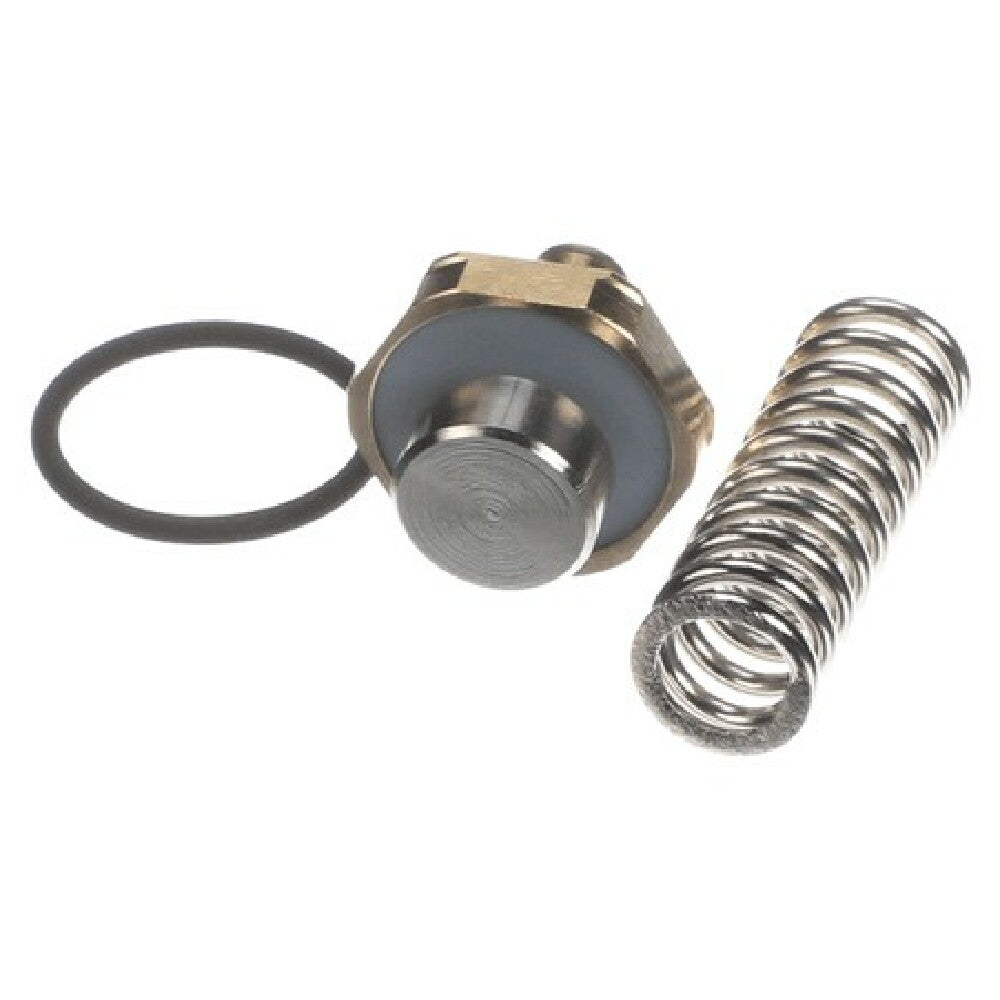 Thermoplan AG 40500.15 Plunger Kit Prv