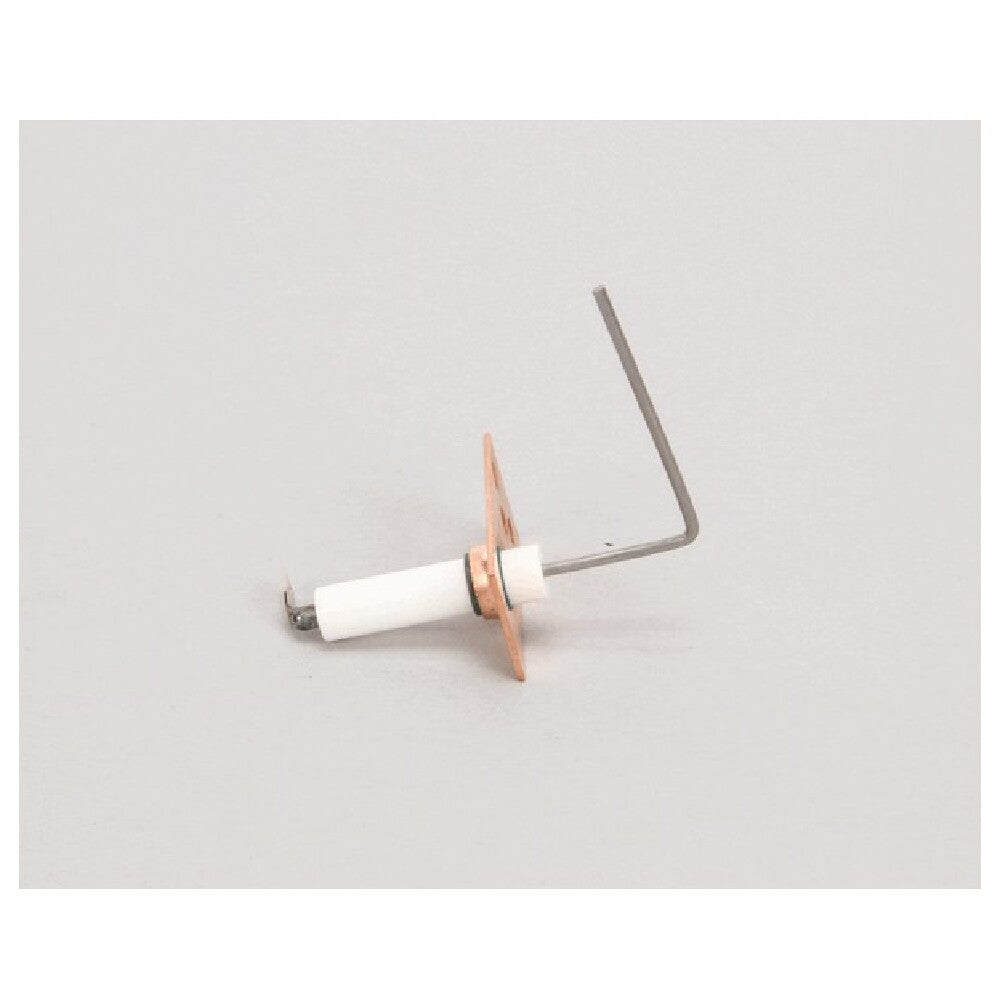 AllPoints 8110487 Sensor Flame