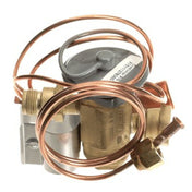 AllPoints 8110687 Valve Thermostatic Expans Ion W/mechanic