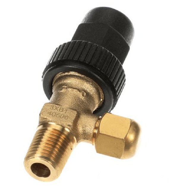 AllPoints 8110700 Valve Angle 1/4 Npte X 1 /4 Flr Neopre