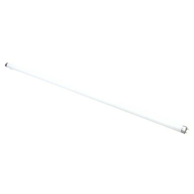 TRUE 801156 Lamp F025/865/xp/eco 36