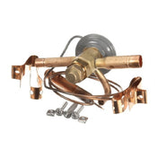 TRUE 813301 Valve Expansion Ebfse Aac Inlet Straine
