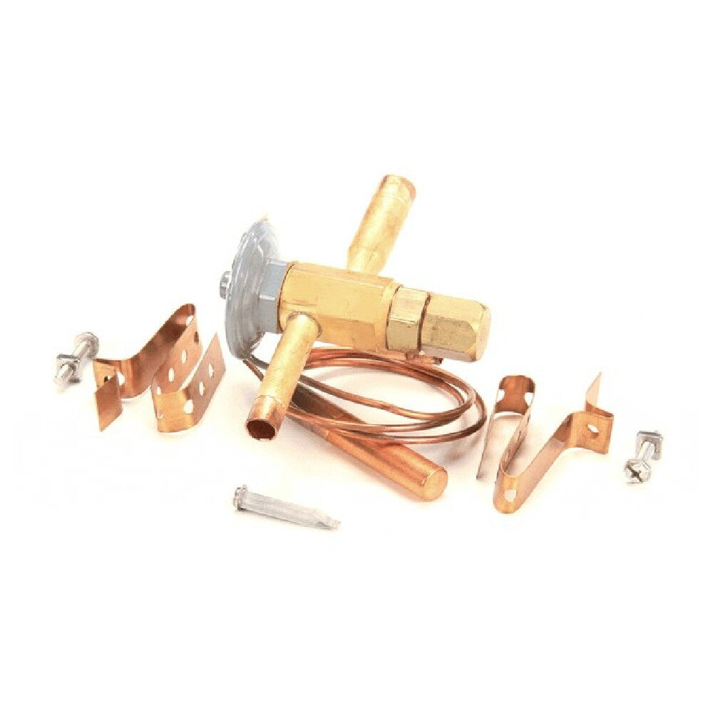 TRUE 813302 Valve Expansion Ebfse Aazp Inlet Strain