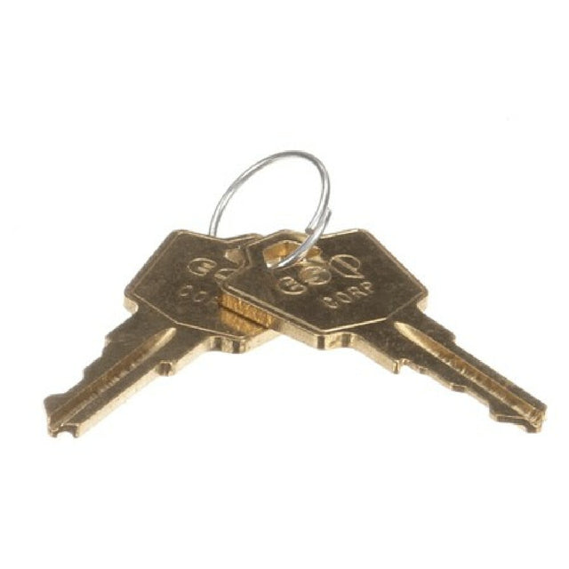 TRUE 872857 Key Hl302 (set Of 2) Tdd 1 New 3/2/2000