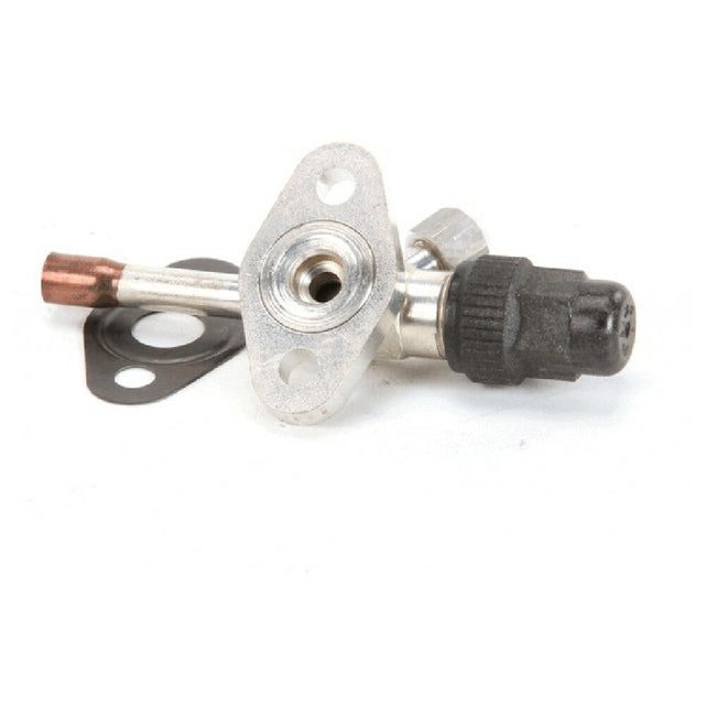 TRUE 884832 Valve Kit Include 1)802303 Discharge &
