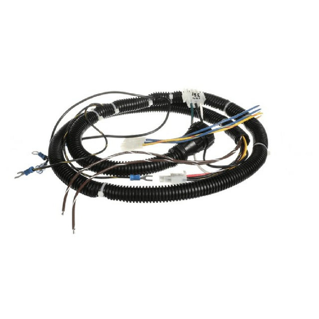 Ultrafryer 12C381 Cable Main Fm Eu Basic